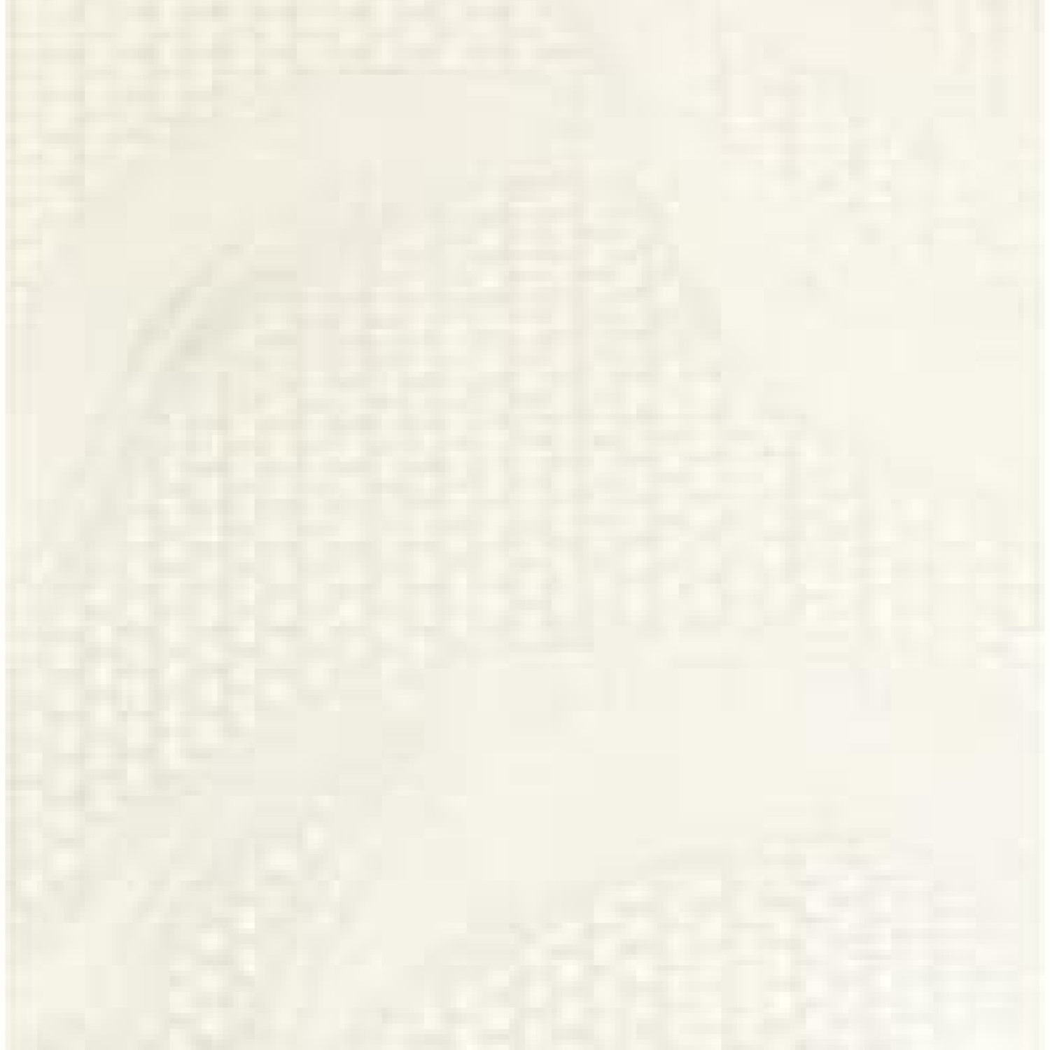 Ткань H507-BF WHITE (2,20 м.) (1м.п)