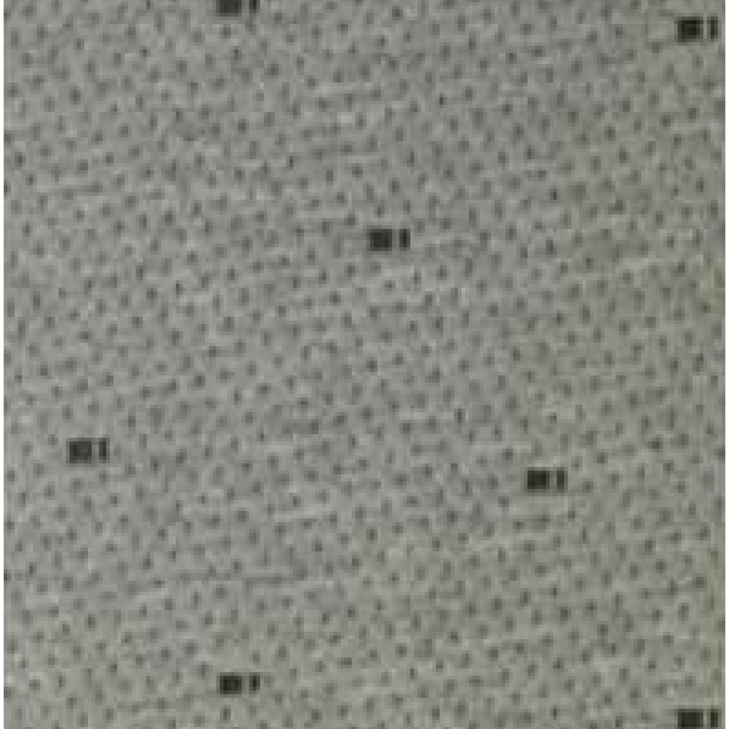 Ткань ST 3609 GREY (2,20м) (1м.п)